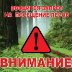 Запрет посещения  гражданами лесов с 25.05.2023
